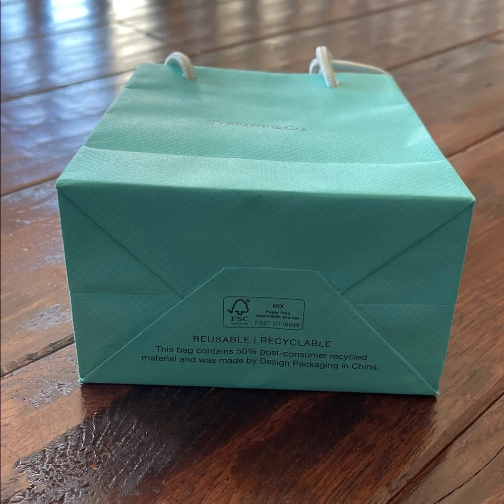 Tiffany Shopping Bag, Jewelry Bag, Blue Box & Envelope - NWT - Picture 4 of 11